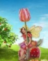 _Erdbeertulpe