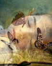 Medium Zafira - Tarot & Kartenlegen - Hellsehen & Wahrsagen - Medium & Channeling - Beruf & Arbeitsleben - Sonstige Bereiche